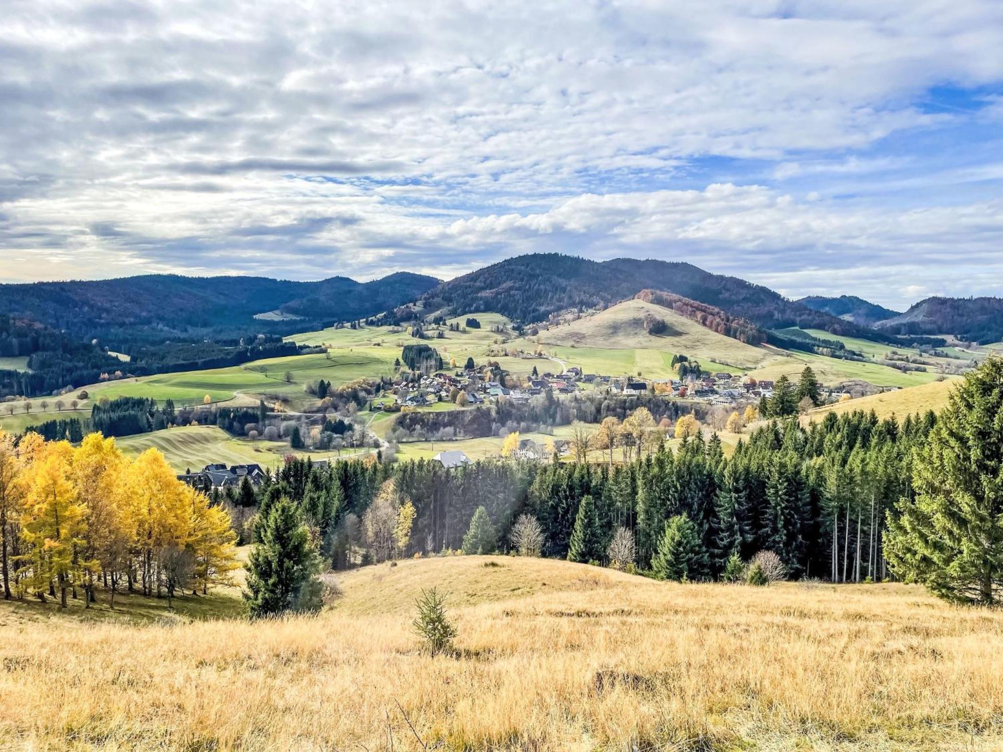 Schwarzwaldblick I By Interhome Appartement Bernau im Schwarzwald